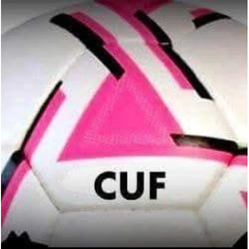 Logo de Unión Familiar de Jacantaya